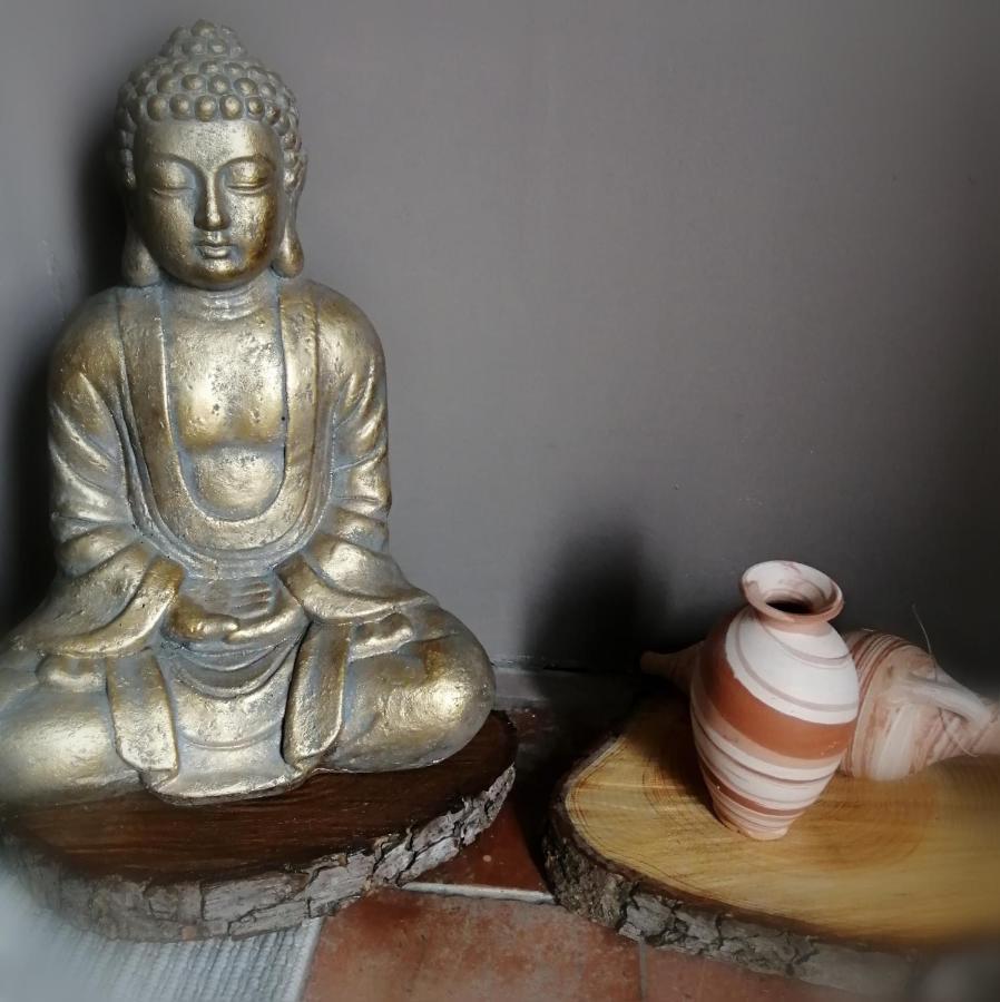 Jacuzzi Massage Sur Rdv,Duo,Reiki,Californien, Reflexologie Plantaire, Et Bouteille Mousseux Offerte Bed & Breakfast Ferolles Екстериор снимка